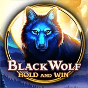 Cá cược có trách nhiệm tại K9WIN