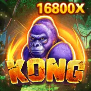 Giám đốc Marketing K9WIN