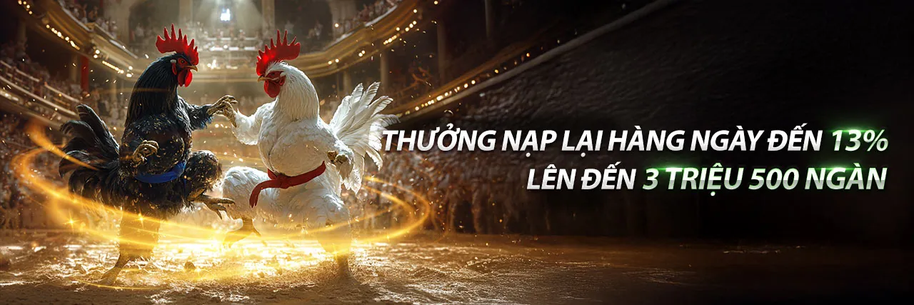 Sân chơi K9WIN Casino hiện đại và an toàn với chủ đề xanh vàng