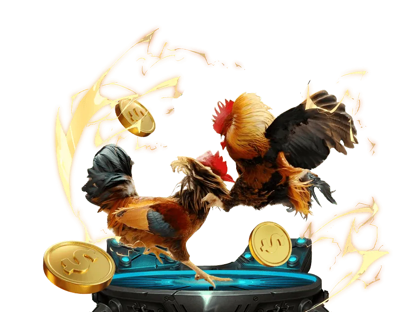 Cá cược bóng rổ tại K9WIN