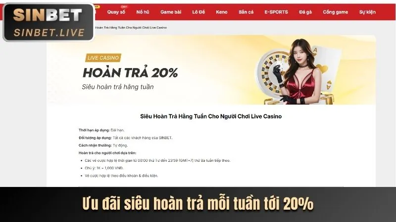 Chương trình hoàn trả thể thao hàng ngày và ưu đãi VIP